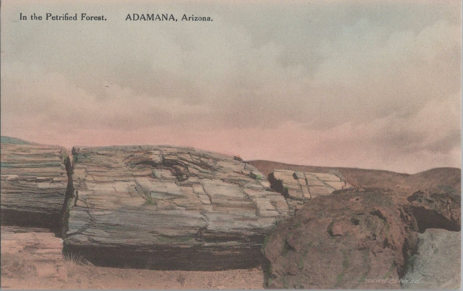 Postcard In The Petrified Forest Adamana Arizona Az