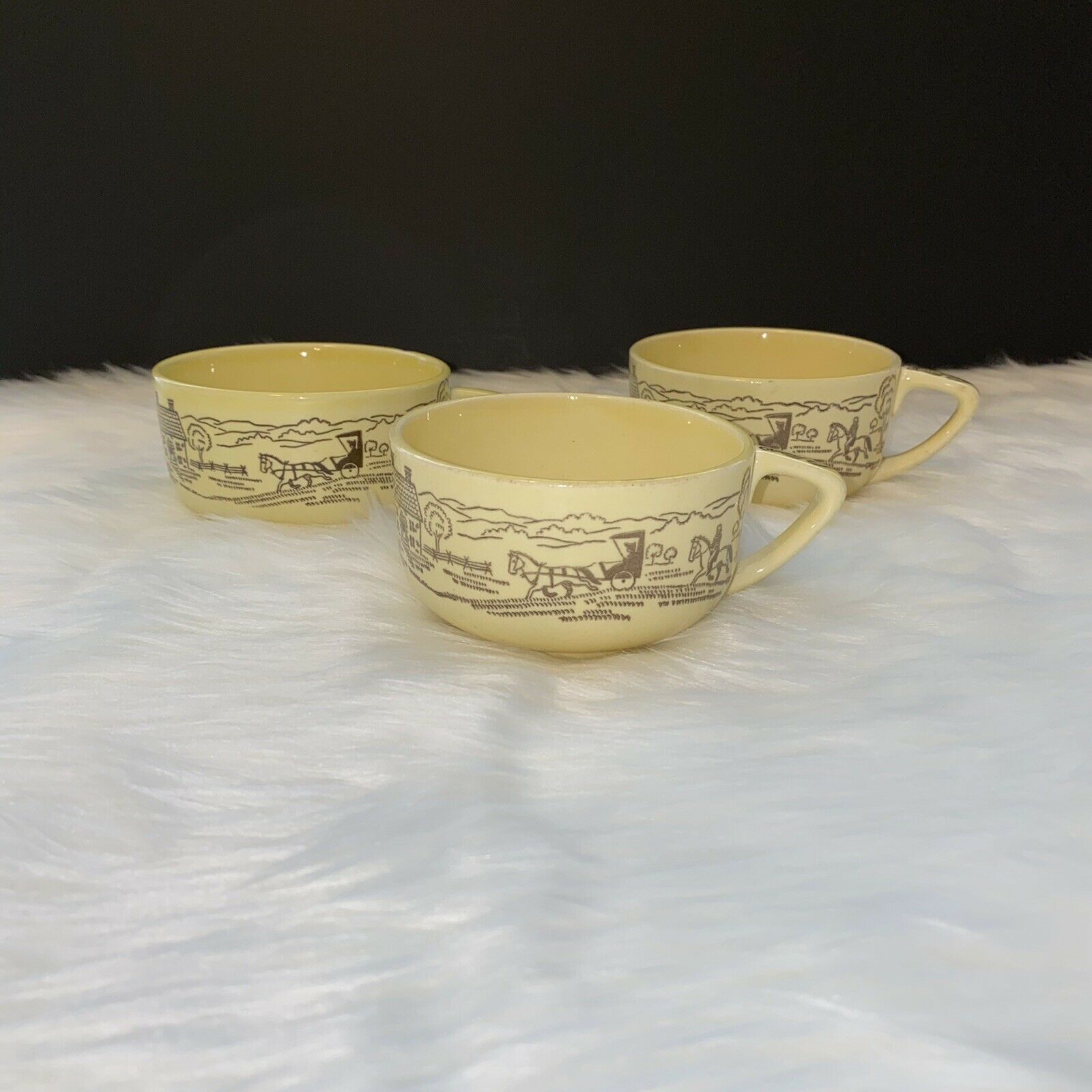 Vintage Bucks County Folk Art Royal China Three Cup Set