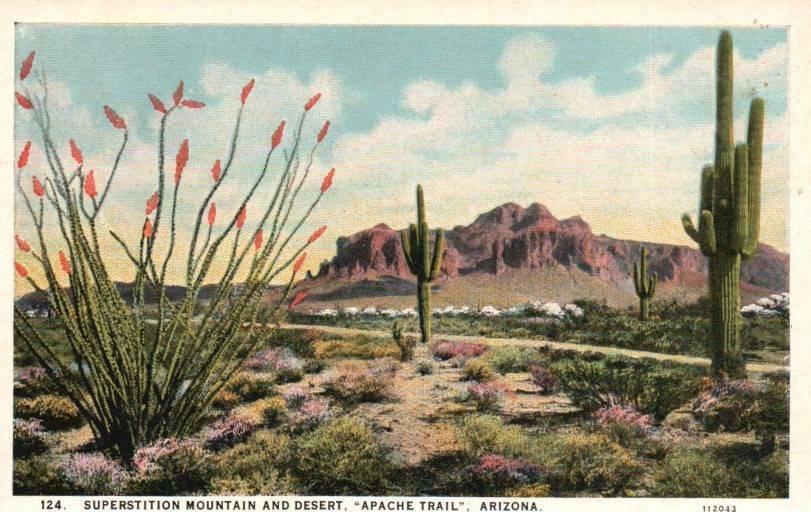 Vintage Postcard Superstition Mountain/Desert Apache Trail,  AZ Unposted